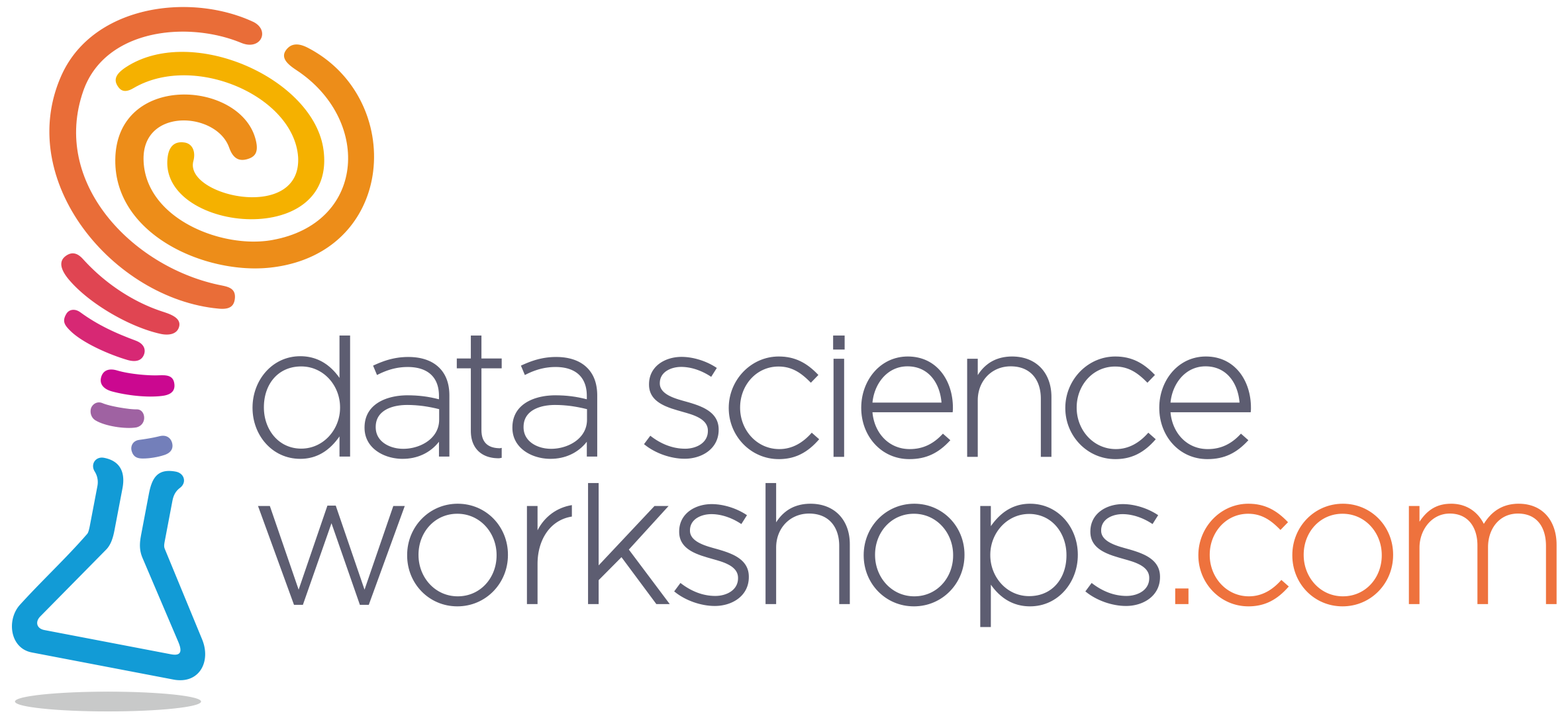 Logo Datascience Workshops